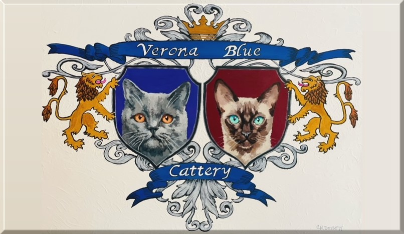 Verona Blue Cats